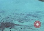 Image of survival techniques Philippines, 1968, second 17 stock footage video 65675072405