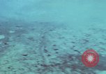 Image of survival techniques Philippines, 1968, second 18 stock footage video 65675072405