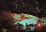 Image of survival techniques Philippines, 1968, second 33 stock footage video 65675072405