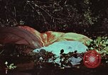 Image of survival techniques Philippines, 1968, second 34 stock footage video 65675072405