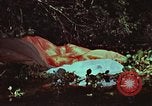 Image of survival techniques Philippines, 1968, second 36 stock footage video 65675072405