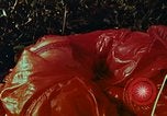 Image of survival techniques Philippines, 1968, second 38 stock footage video 65675072405