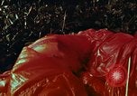 Image of survival techniques Philippines, 1968, second 41 stock footage video 65675072405