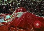 Image of survival techniques Philippines, 1968, second 48 stock footage video 65675072405