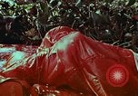 Image of survival techniques Philippines, 1968, second 50 stock footage video 65675072405