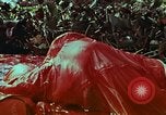 Image of survival techniques Philippines, 1968, second 51 stock footage video 65675072405