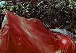 Image of survival techniques Philippines, 1968, second 56 stock footage video 65675072405