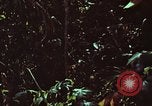 Image of survival techniques Philippines, 1968, second 4 stock footage video 65675072406