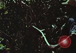 Image of survival techniques Philippines, 1968, second 9 stock footage video 65675072406