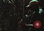 Image of survival techniques Philippines, 1968, second 10 stock footage video 65675072406