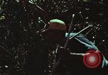 Image of survival techniques Philippines, 1968, second 11 stock footage video 65675072406