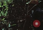 Image of survival techniques Philippines, 1968, second 13 stock footage video 65675072406