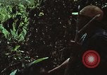 Image of survival techniques Philippines, 1968, second 15 stock footage video 65675072406
