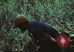 Image of survival techniques Philippines, 1968, second 27 stock footage video 65675072406