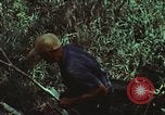 Image of survival techniques Philippines, 1968, second 31 stock footage video 65675072406