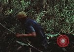 Image of survival techniques Philippines, 1968, second 32 stock footage video 65675072406