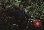 Image of survival techniques Philippines, 1968, second 33 stock footage video 65675072406