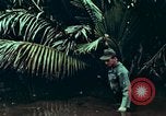 Image of survival techniques Philippines, 1968, second 34 stock footage video 65675072406
