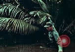 Image of survival techniques Philippines, 1968, second 35 stock footage video 65675072406