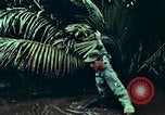 Image of survival techniques Philippines, 1968, second 36 stock footage video 65675072406