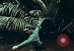 Image of survival techniques Philippines, 1968, second 37 stock footage video 65675072406