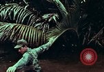 Image of survival techniques Philippines, 1968, second 39 stock footage video 65675072406