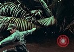 Image of survival techniques Philippines, 1968, second 40 stock footage video 65675072406