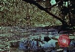 Image of survival techniques Philippines, 1968, second 41 stock footage video 65675072406