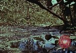 Image of survival techniques Philippines, 1968, second 42 stock footage video 65675072406