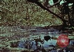 Image of survival techniques Philippines, 1968, second 43 stock footage video 65675072406