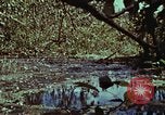 Image of survival techniques Philippines, 1968, second 44 stock footage video 65675072406