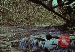 Image of survival techniques Philippines, 1968, second 45 stock footage video 65675072406