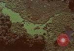 Image of survival techniques Philippines, 1968, second 46 stock footage video 65675072406