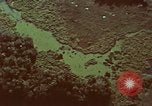 Image of survival techniques Philippines, 1968, second 47 stock footage video 65675072406