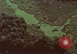 Image of survival techniques Philippines, 1968, second 48 stock footage video 65675072406