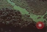 Image of survival techniques Philippines, 1968, second 49 stock footage video 65675072406