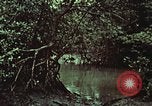 Image of survival techniques Philippines, 1968, second 51 stock footage video 65675072406