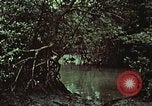 Image of survival techniques Philippines, 1968, second 53 stock footage video 65675072406