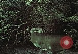 Image of survival techniques Philippines, 1968, second 54 stock footage video 65675072406