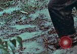 Image of survival techniques Philippines, 1968, second 55 stock footage video 65675072406