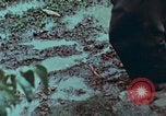 Image of survival techniques Philippines, 1968, second 56 stock footage video 65675072406
