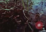 Image of survival techniques Philippines, 1968, second 60 stock footage video 65675072406