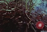 Image of survival techniques Philippines, 1968, second 62 stock footage video 65675072406