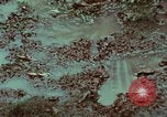 Image of survival techniques Philippines, 1968, second 3 stock footage video 65675072407