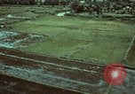 Image of survival techniques Philippines, 1968, second 6 stock footage video 65675072407