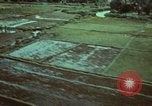 Image of survival techniques Philippines, 1968, second 7 stock footage video 65675072407