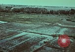 Image of survival techniques Philippines, 1968, second 9 stock footage video 65675072407
