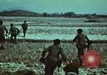 Image of survival techniques Philippines, 1968, second 10 stock footage video 65675072407