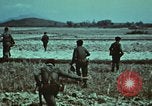Image of survival techniques Philippines, 1968, second 11 stock footage video 65675072407