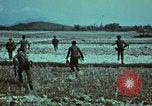 Image of survival techniques Philippines, 1968, second 12 stock footage video 65675072407